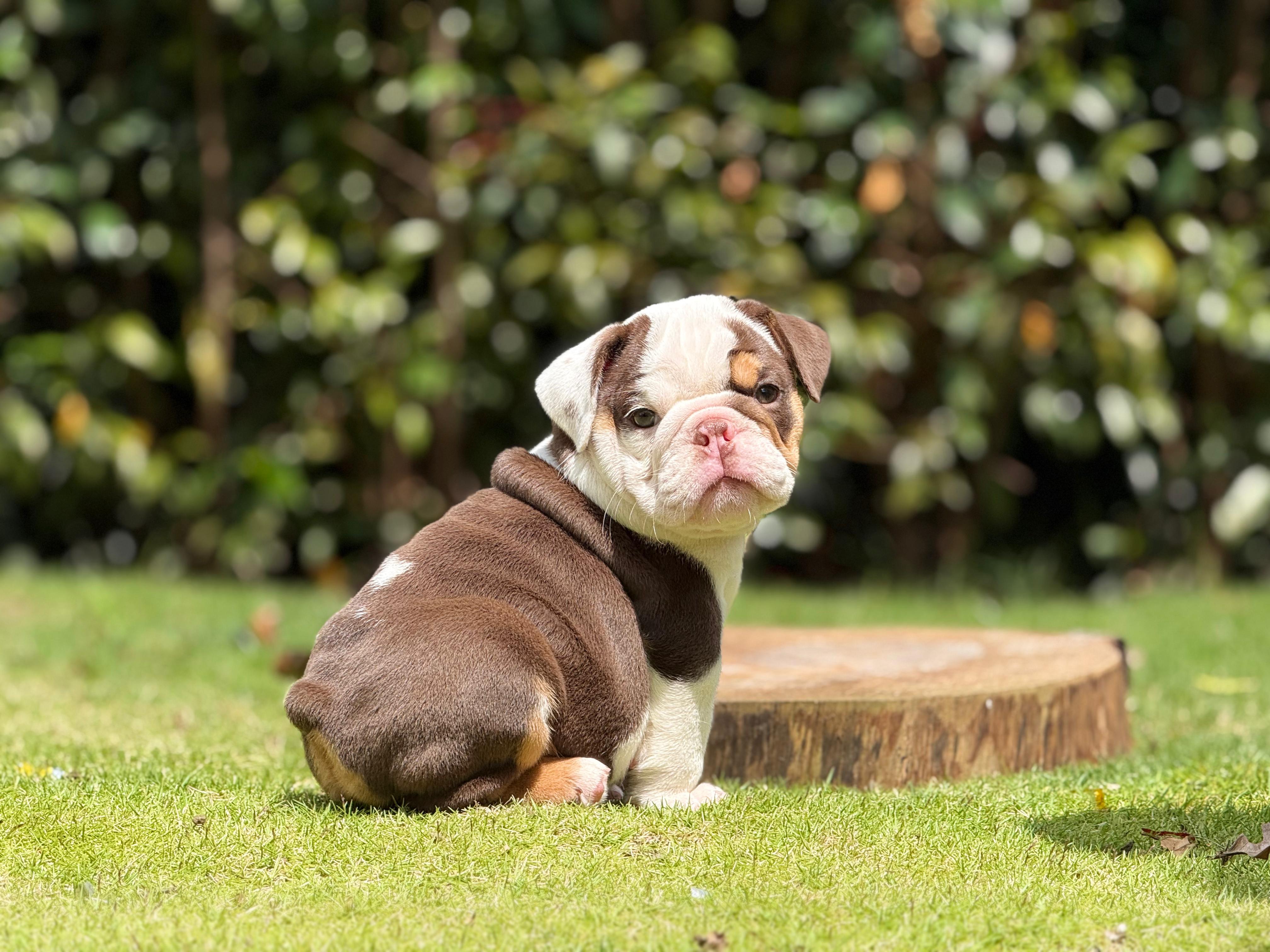 Snicker《RESERVE NOW 》    